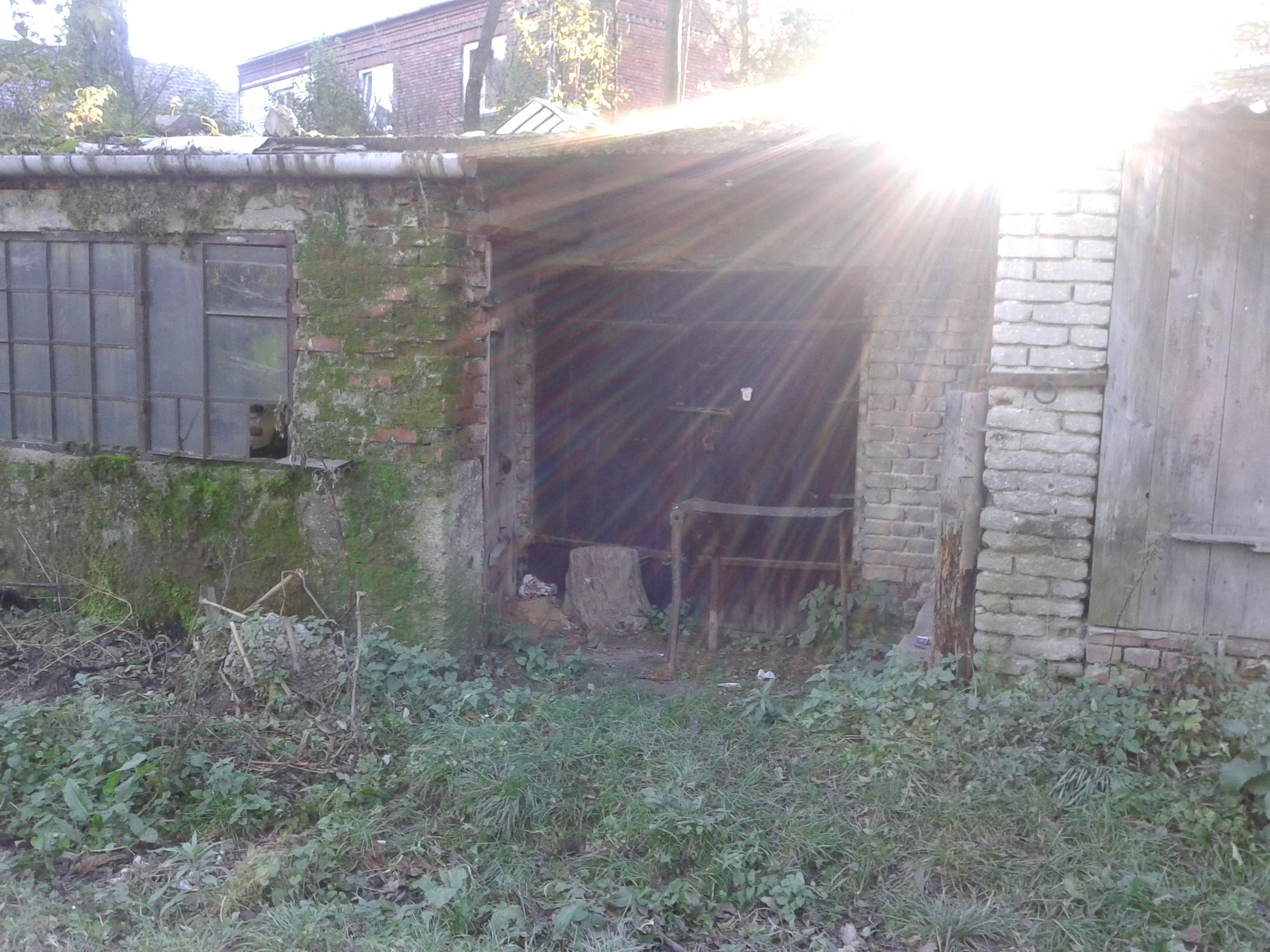 20121020_161023.jpg