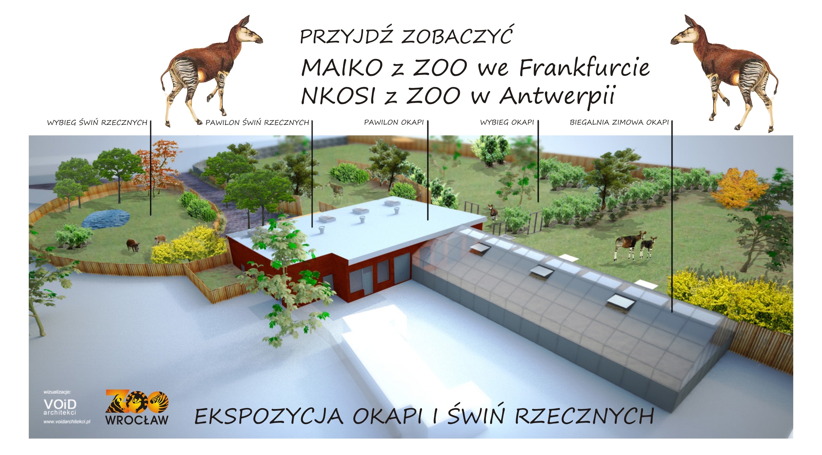 okapi_banner_pniej_2717.jpg